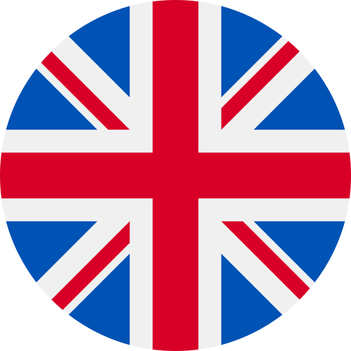 Selected Language Flag